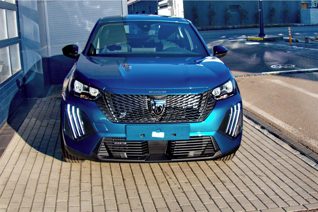 Peugeot 2008, BUSINESS Hybrid 110 e-DCS6