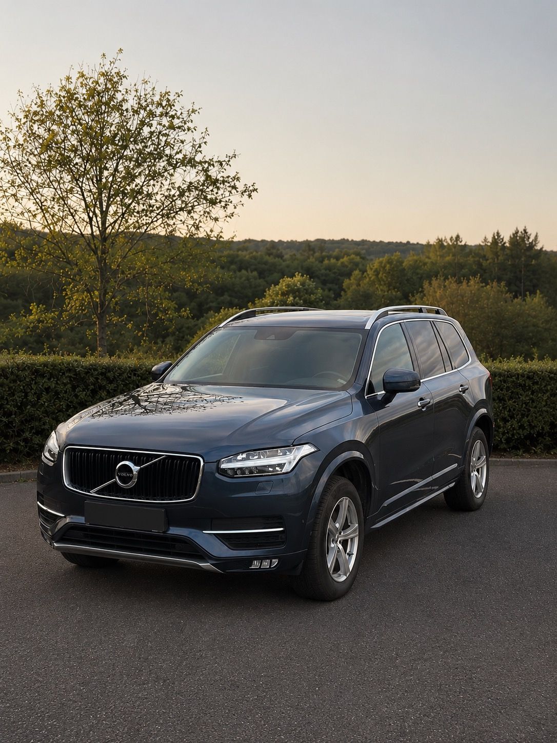 Volvo XC90, Volvo XC90, D5 AWD Polestar - fotka 3