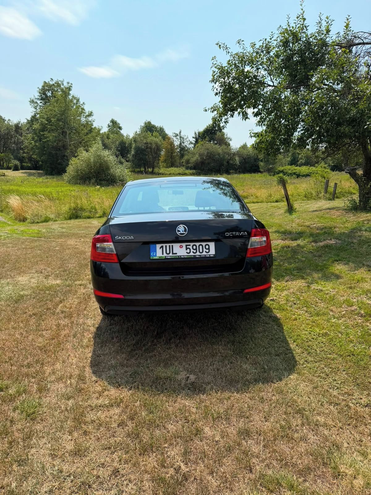 Škoda Octavia, 1.6 TDI 77kW - fotka 6
