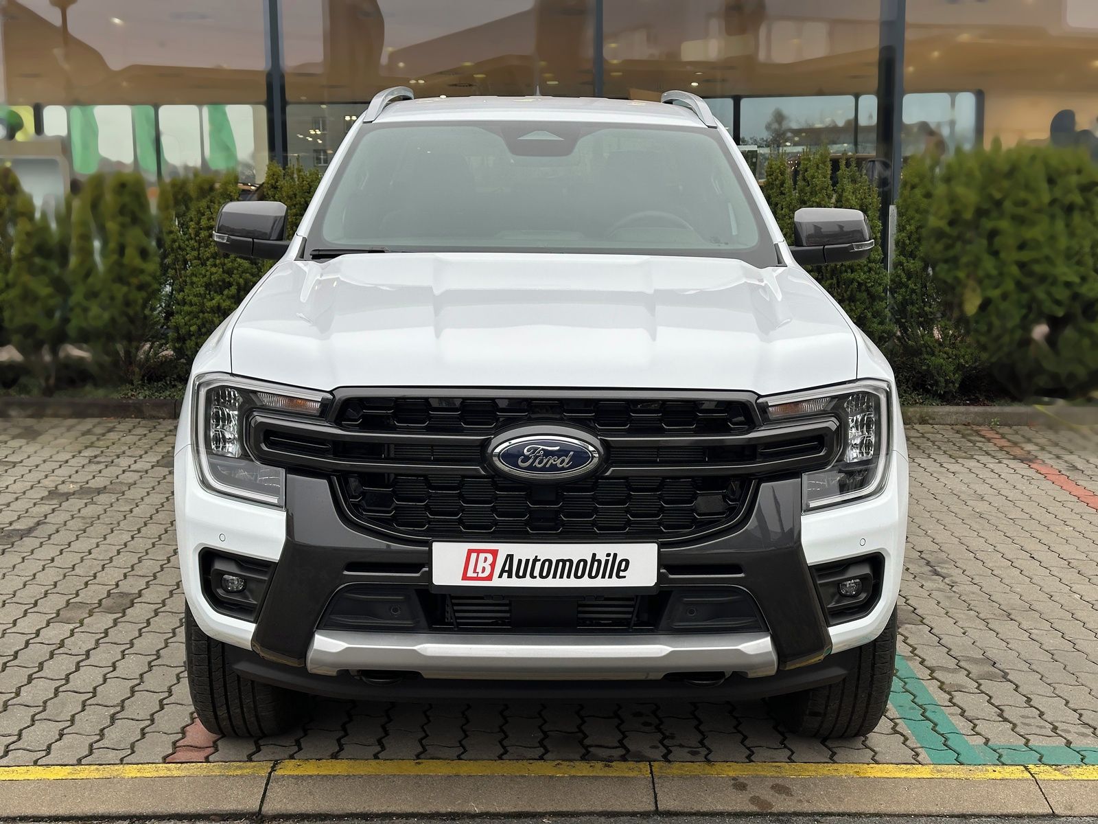Ford Ranger, 2.0EB 4x4 Double Cab Wildtrak - fotka 2