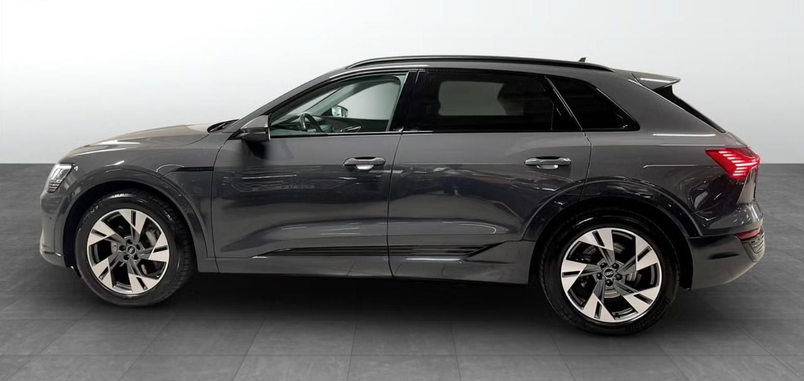 Audi Q8 e-tron, 50 Q Kamera Ambient Vzduch LED - fotka 2