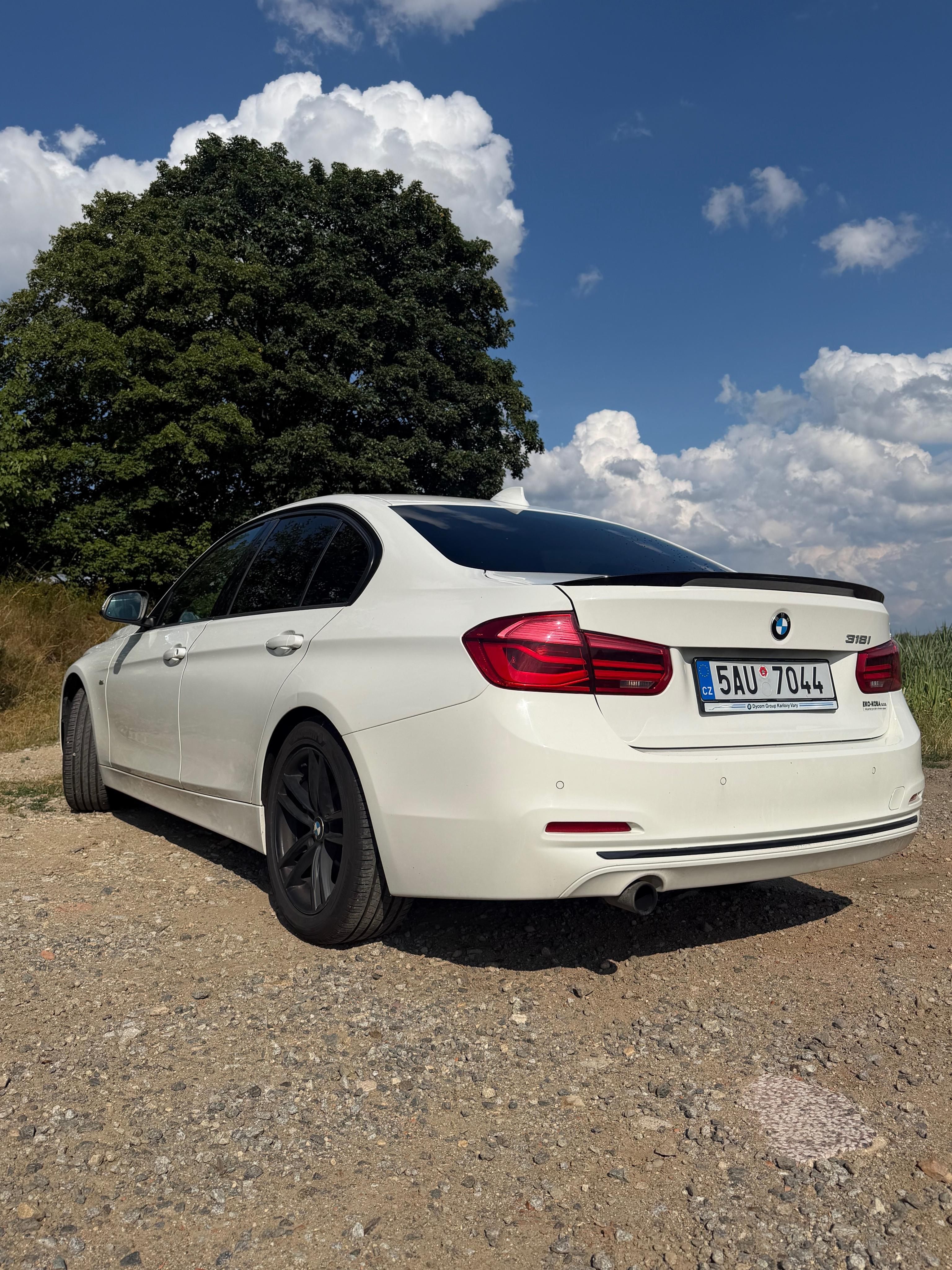 BMW Řada 3, BMW 318i, 100 kW, Automat, - fotka 3