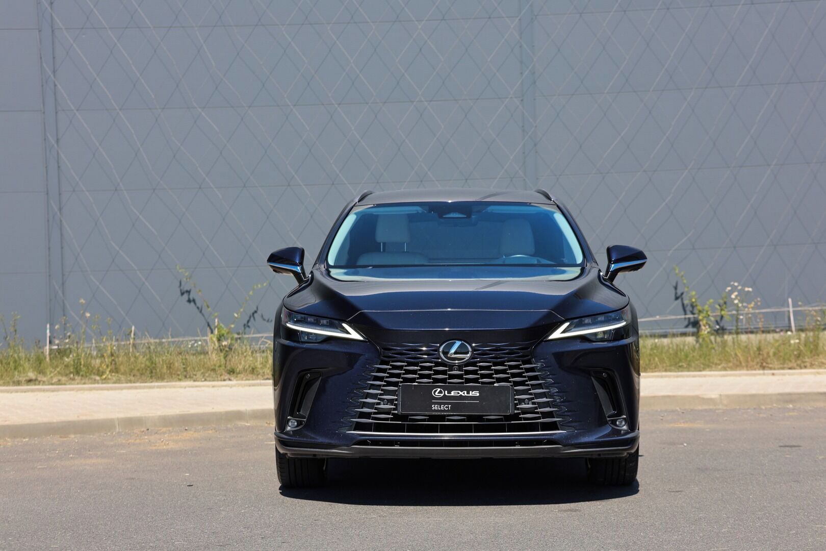 Lexus RX 450h+, 450H 2,5 PHEV LUXURY - fotka 3