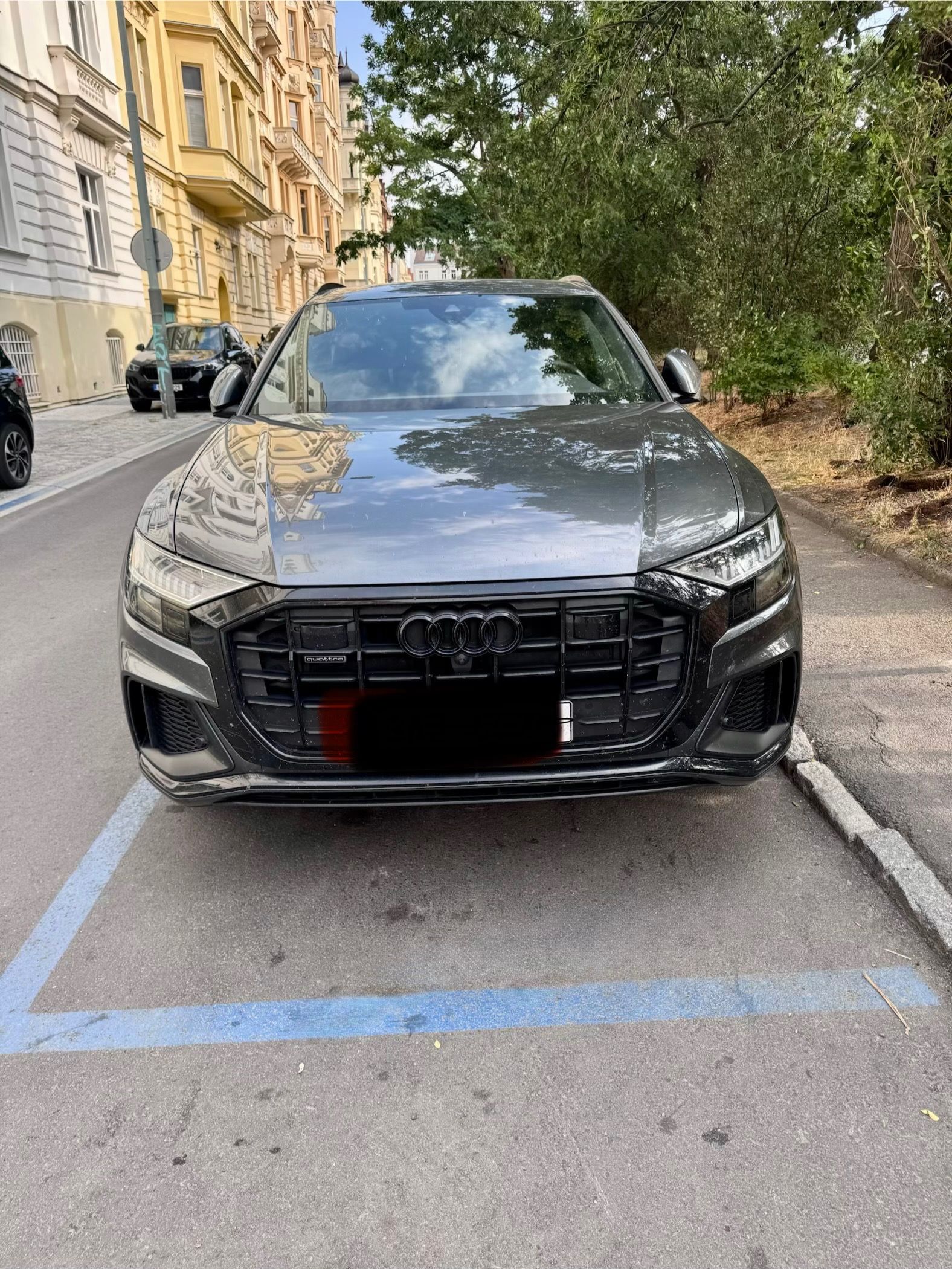 Audi Q8, Audi Q8 50 TDI quattro S line - fotka 2