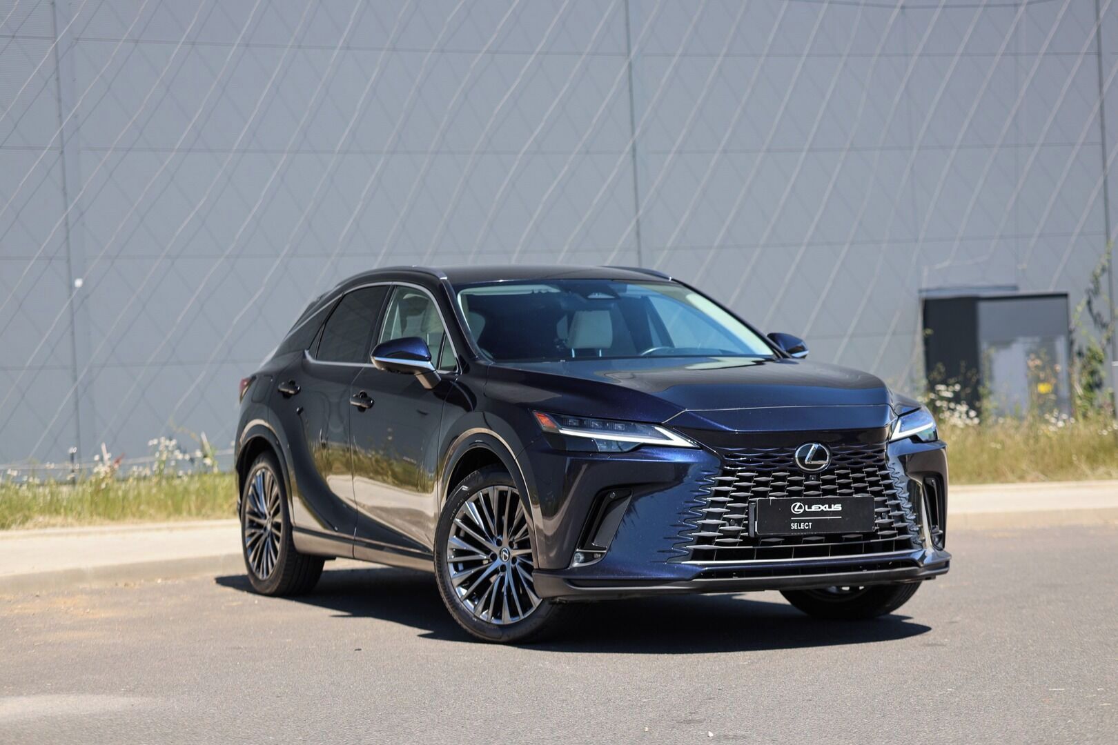 Lexus RX 450h+, 450H 2,5 PHEV LUXURY - fotka 2