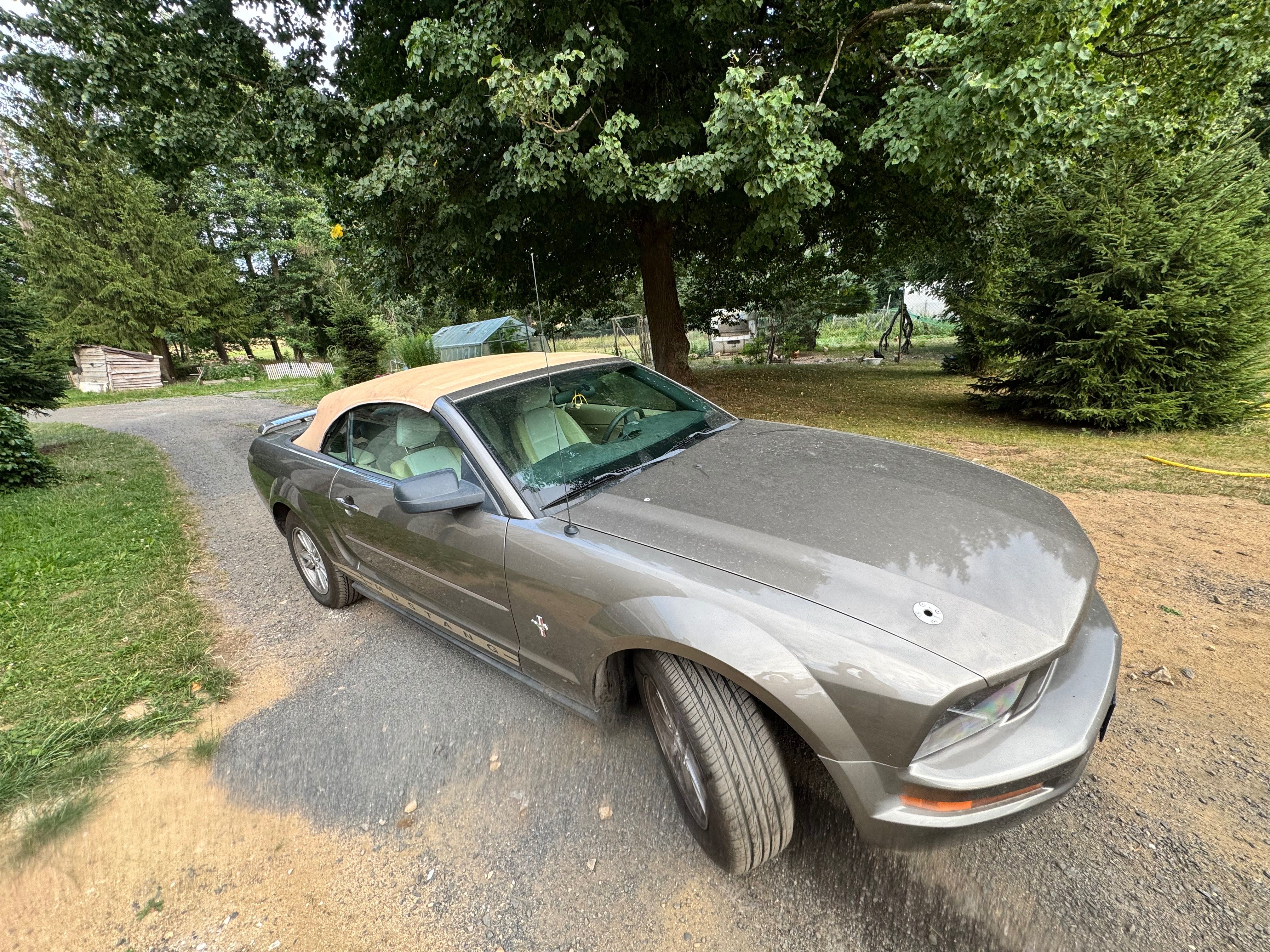 Ford Mustang, Mustang Cabrio 4,0 - fotka 6