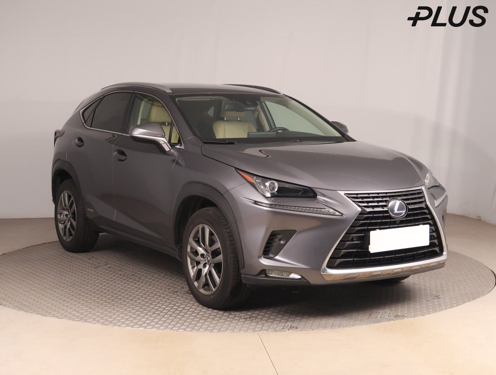 Lexus NX 300h, 300h, Style Edition, 4X4