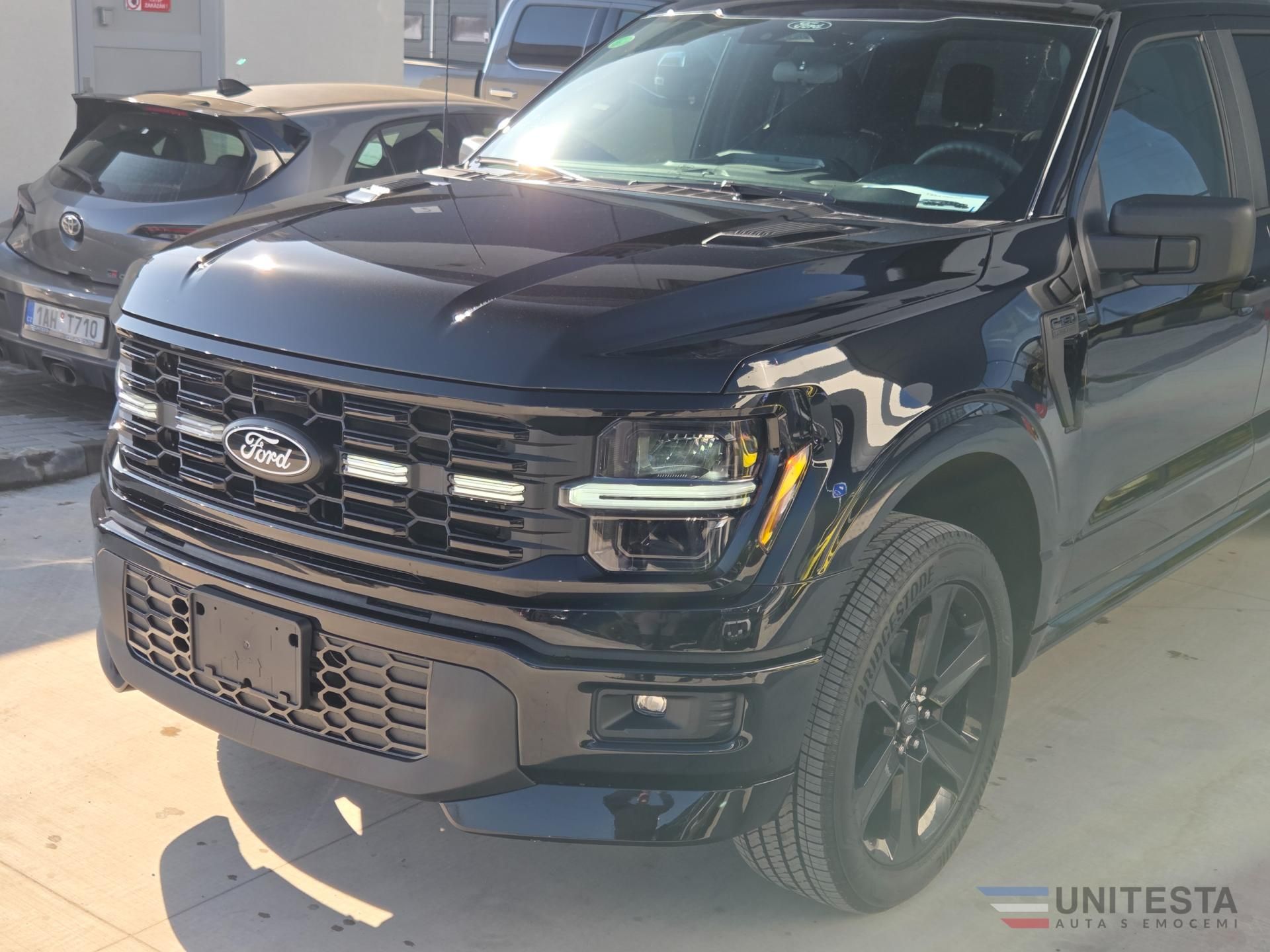 Ford F-150, F150 - LOBO STX - fotka 6