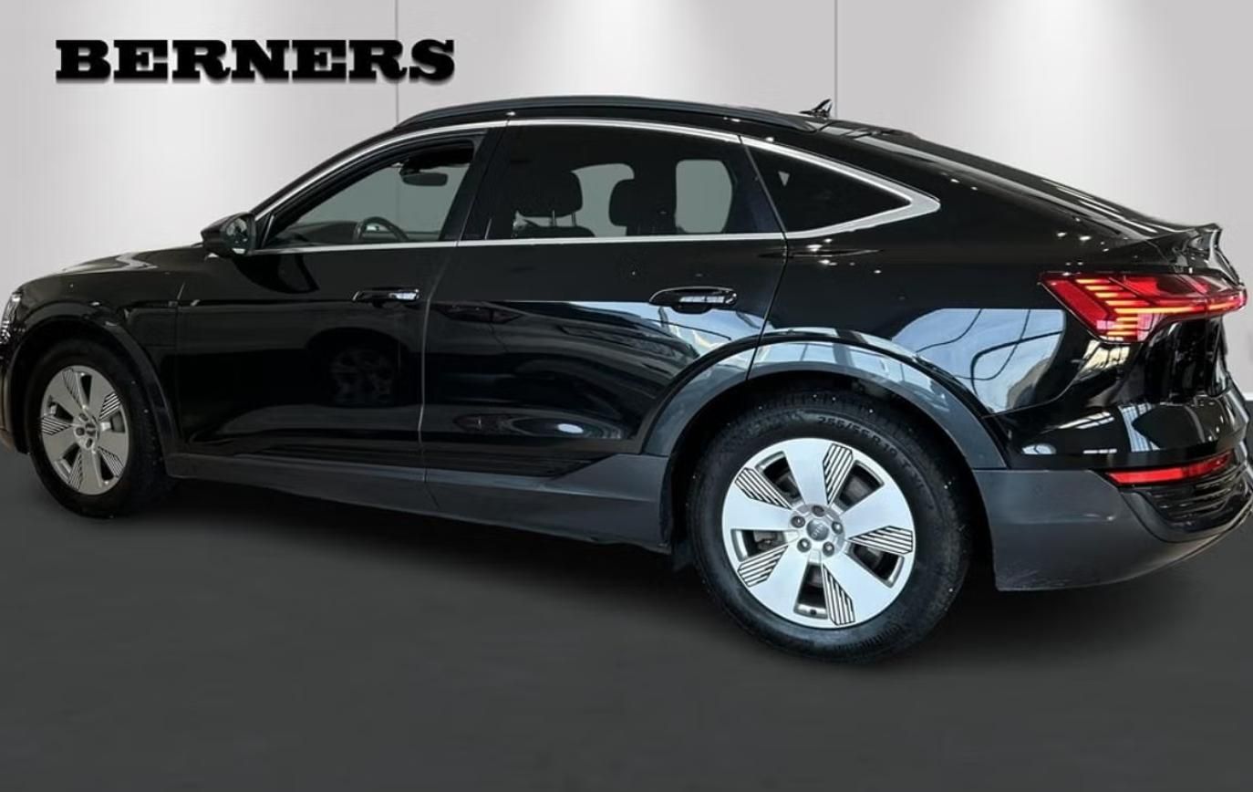 Audi Q8 e-tron, SB 50 Q Kamera Vzduch Matrix - fotka 2
