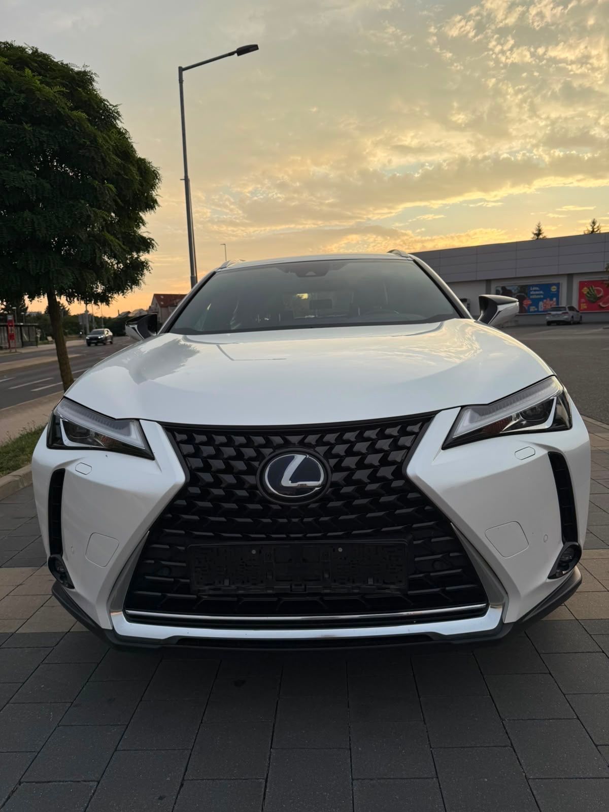 Lexus UX 250h - fotka 2