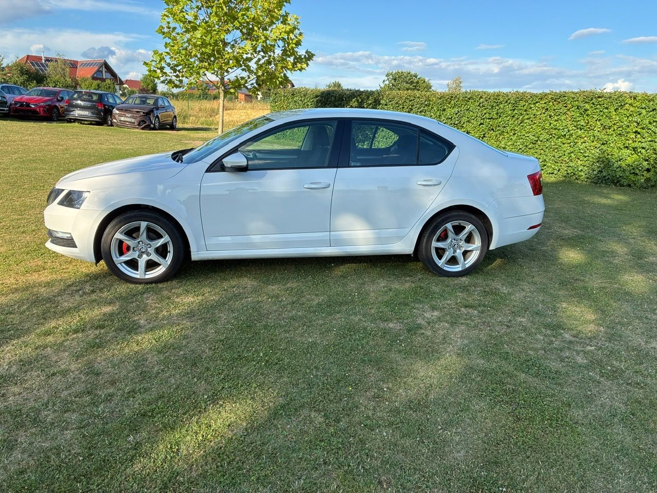 Škoda Octavia, 1,6TDI 85kW - fotka 3