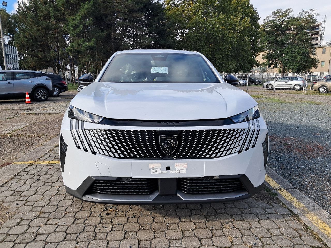 Peugeot 3008, BUSINESS Hybrid 145 e-DCS6 - fotka 2