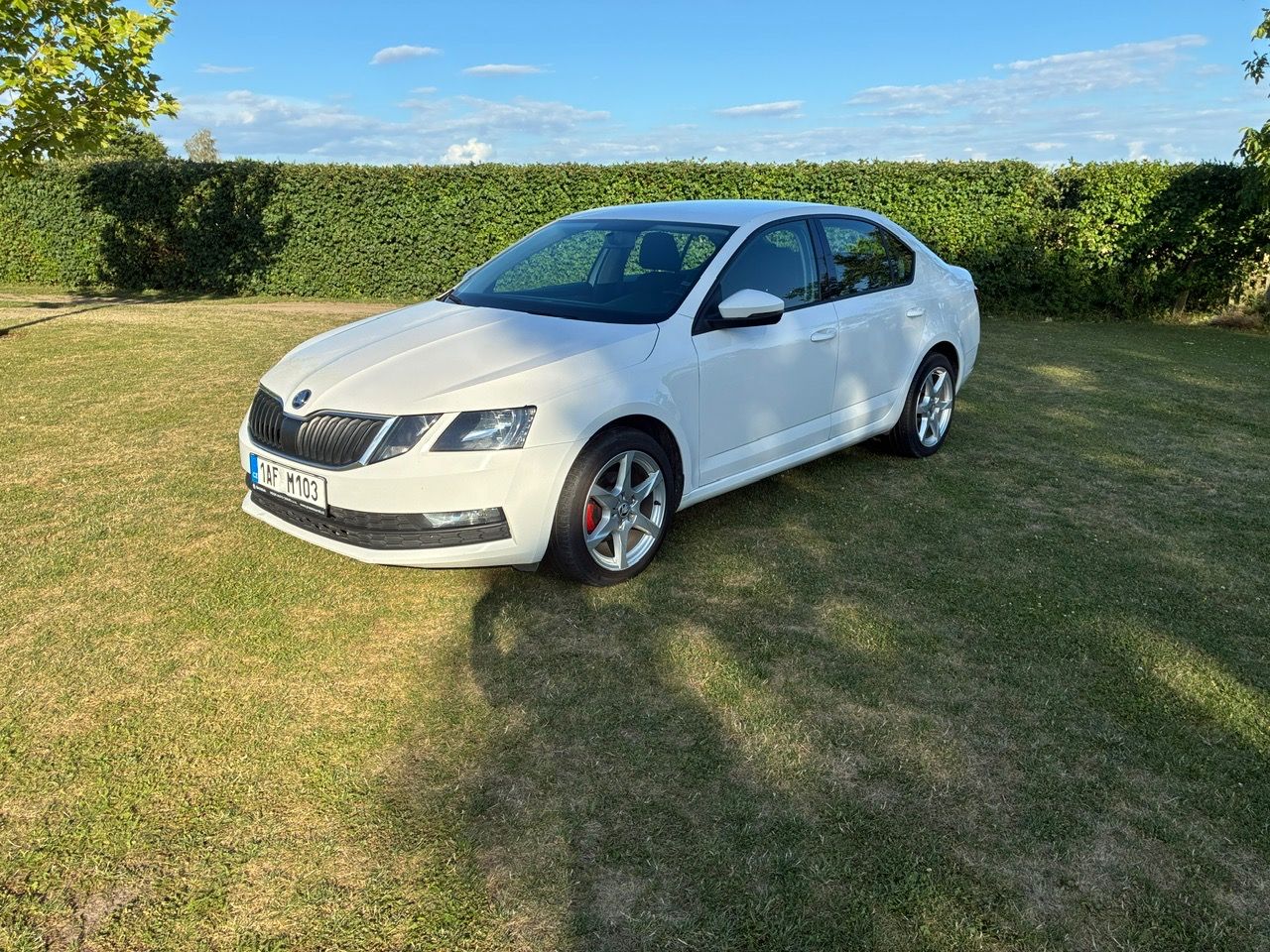 Škoda Octavia, 1,6TDI 85kW