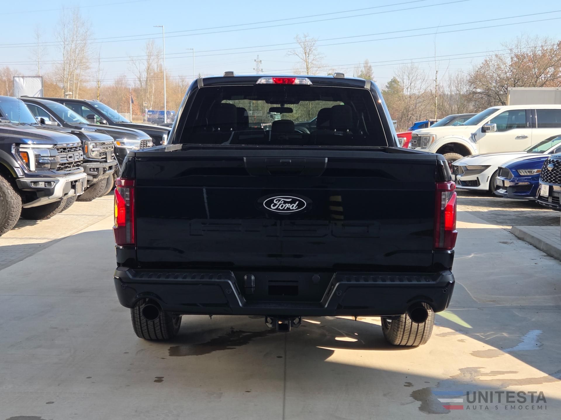 Ford F-150, F150 - LOBO STX - fotka 4