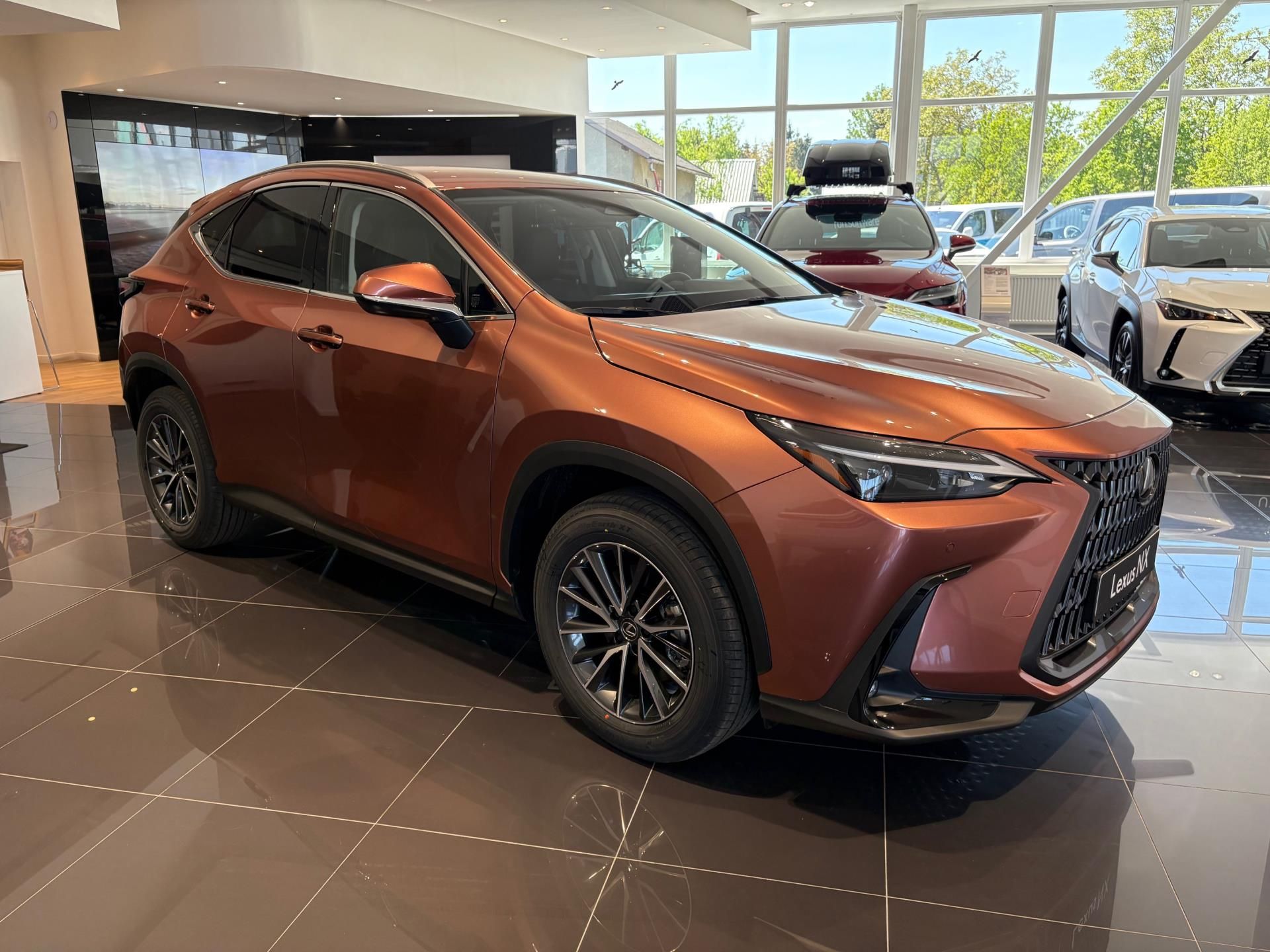 Lexus NX 350h, EXECUTIVE (2x4) - fotka 3