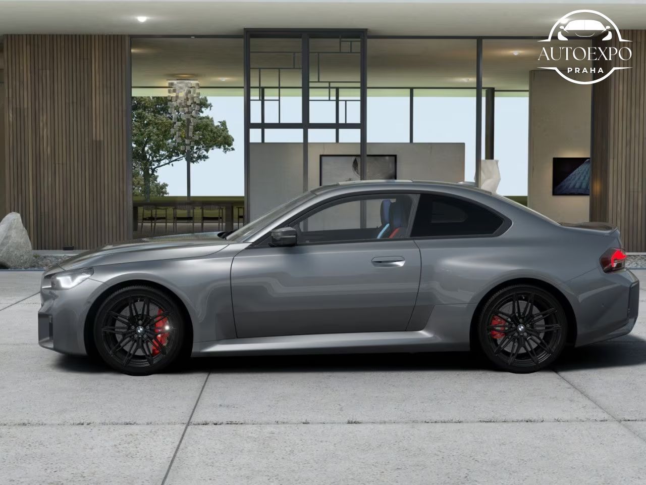 BMW M2, Coupe *Carbon - fotka 2
