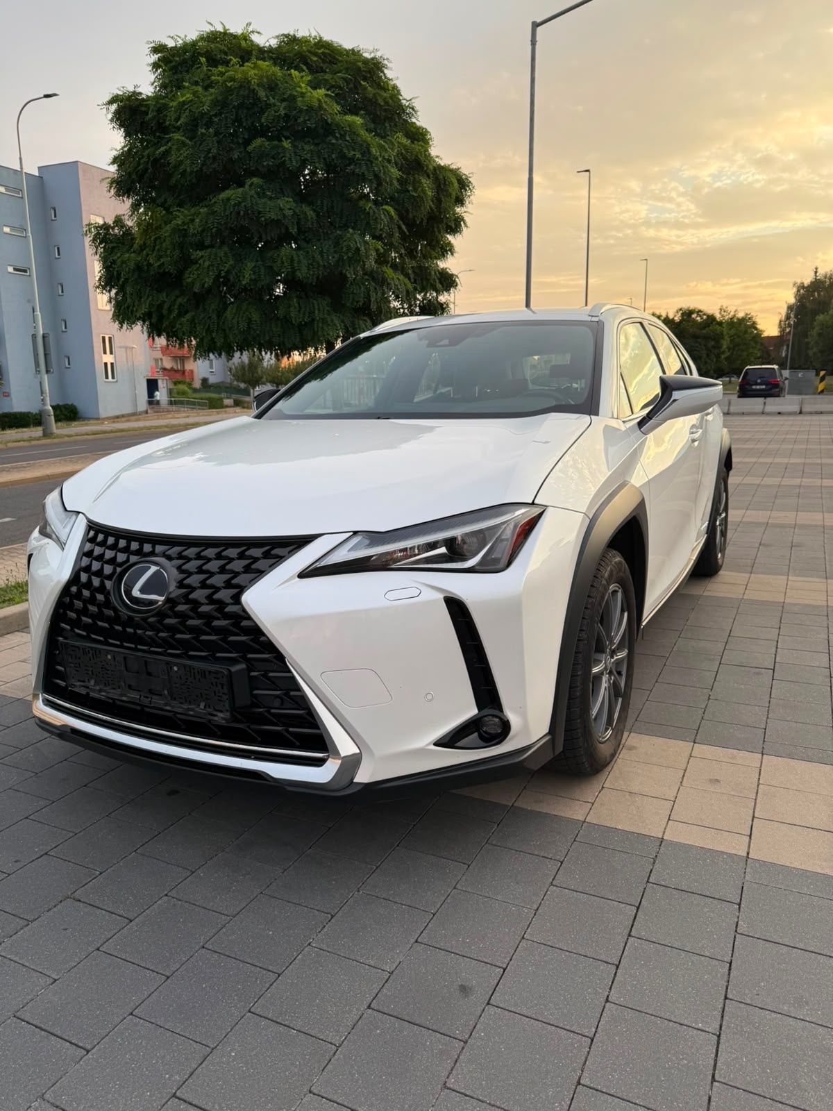 Lexus UX 250h - fotka 4