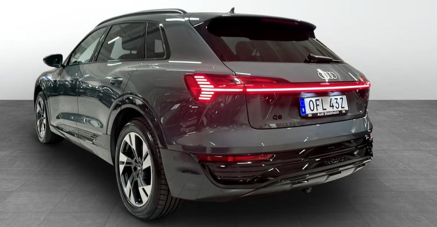 Audi Q8 e-tron, 50 Q Kamera Ambient Vzduch LED - fotka 3
