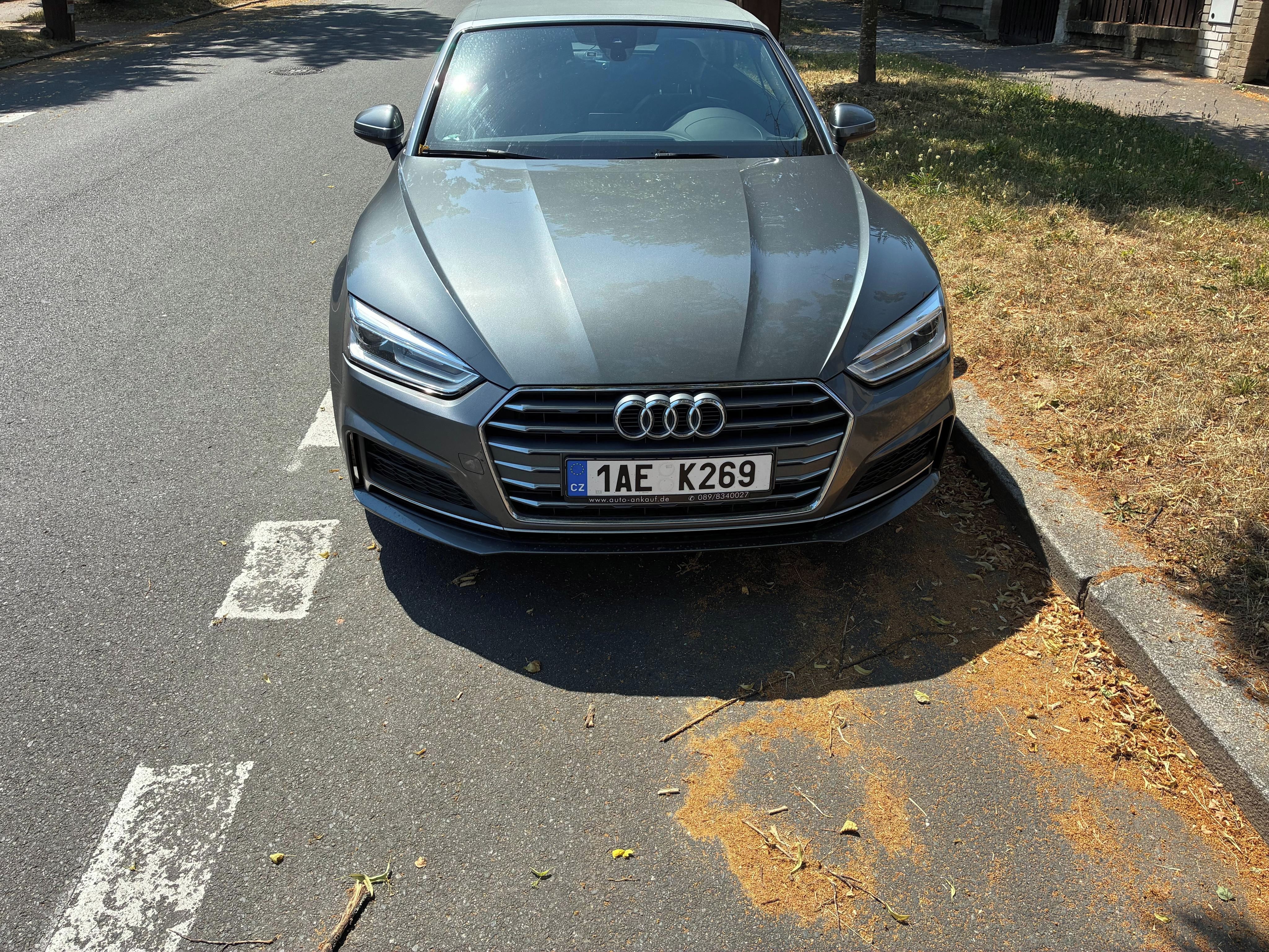 Audi A5, Audi A5, 2.0 TDI, S-Line - fotka 2