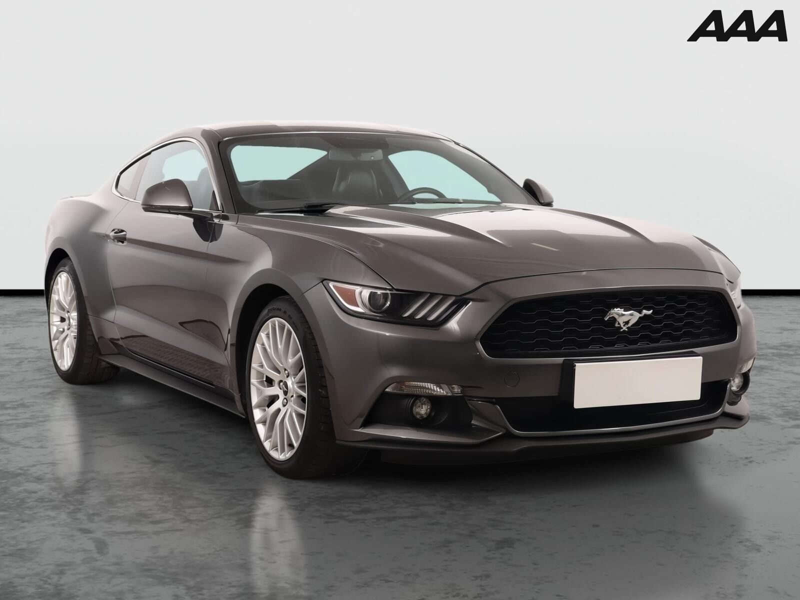 Ford Mustang, 2.3 Ecoboost, Kůže, Navi