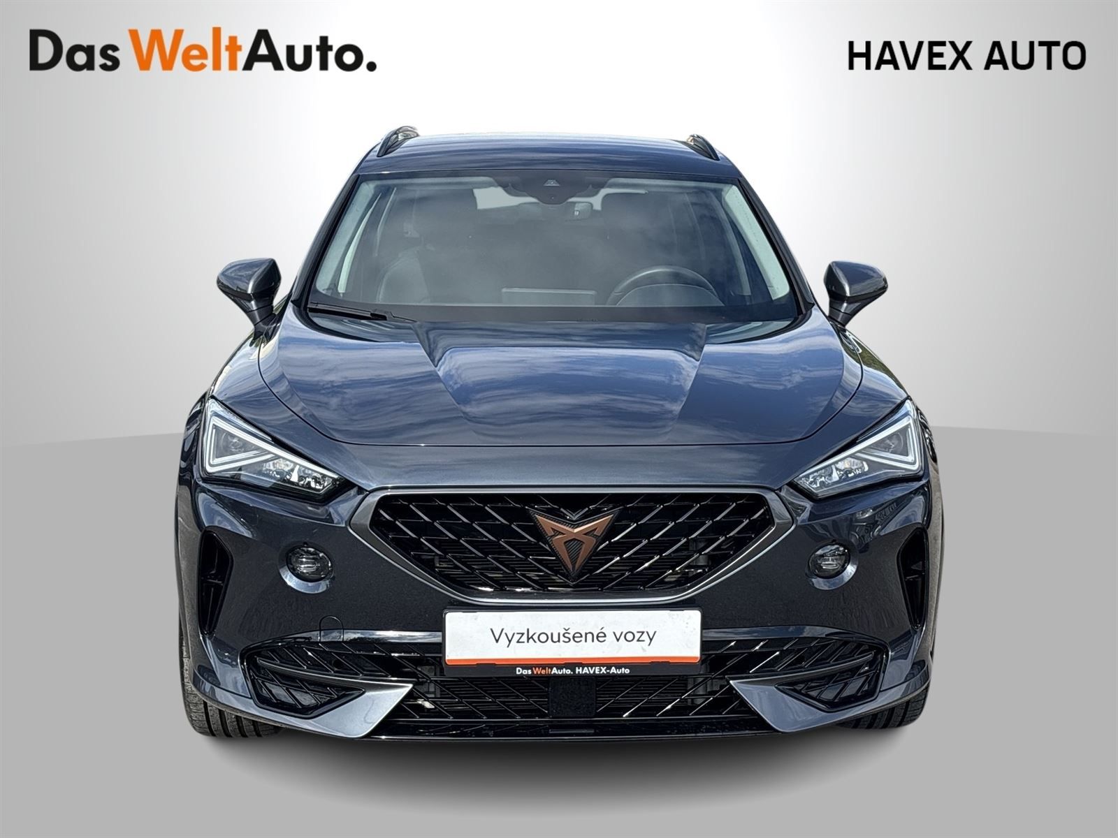 Cupra Formentor, 1.5 TSI DSG - fotka 4