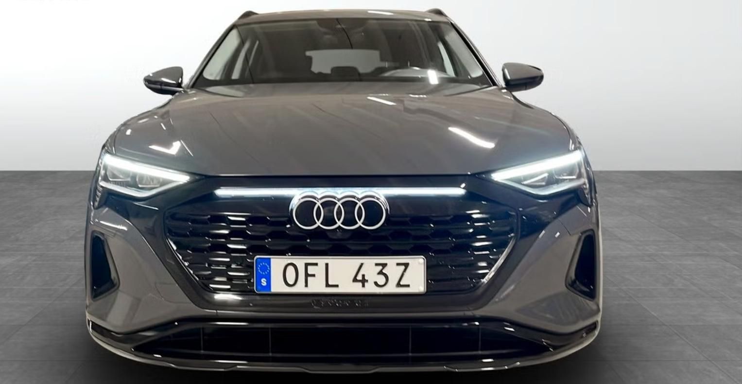 Audi Q8 e-tron, 50 Q Kamera Ambient Vzduch LED - fotka 4