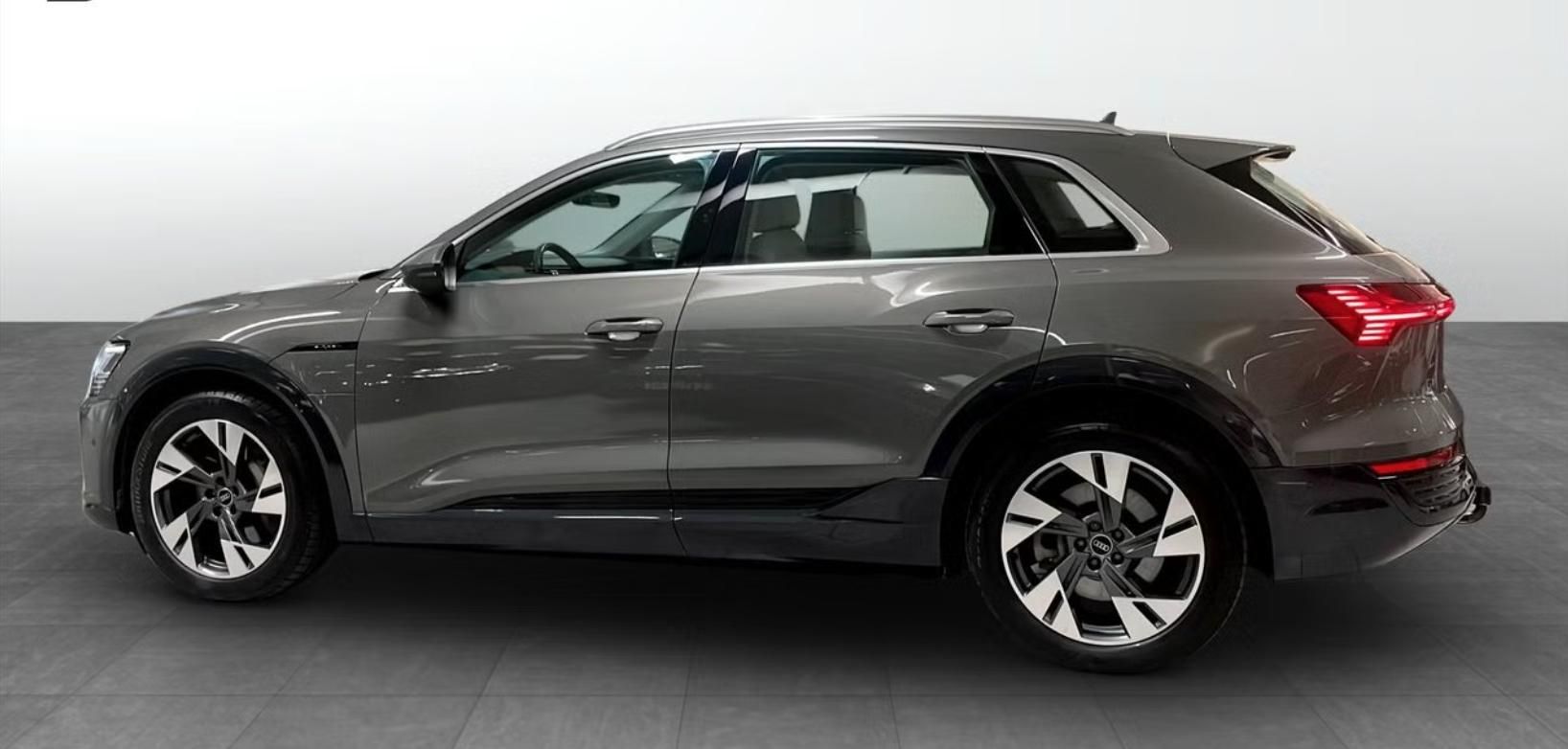 Audi Q8 e-tron, 50 Q Kam Pano Tažné Bílý in. - fotka 2