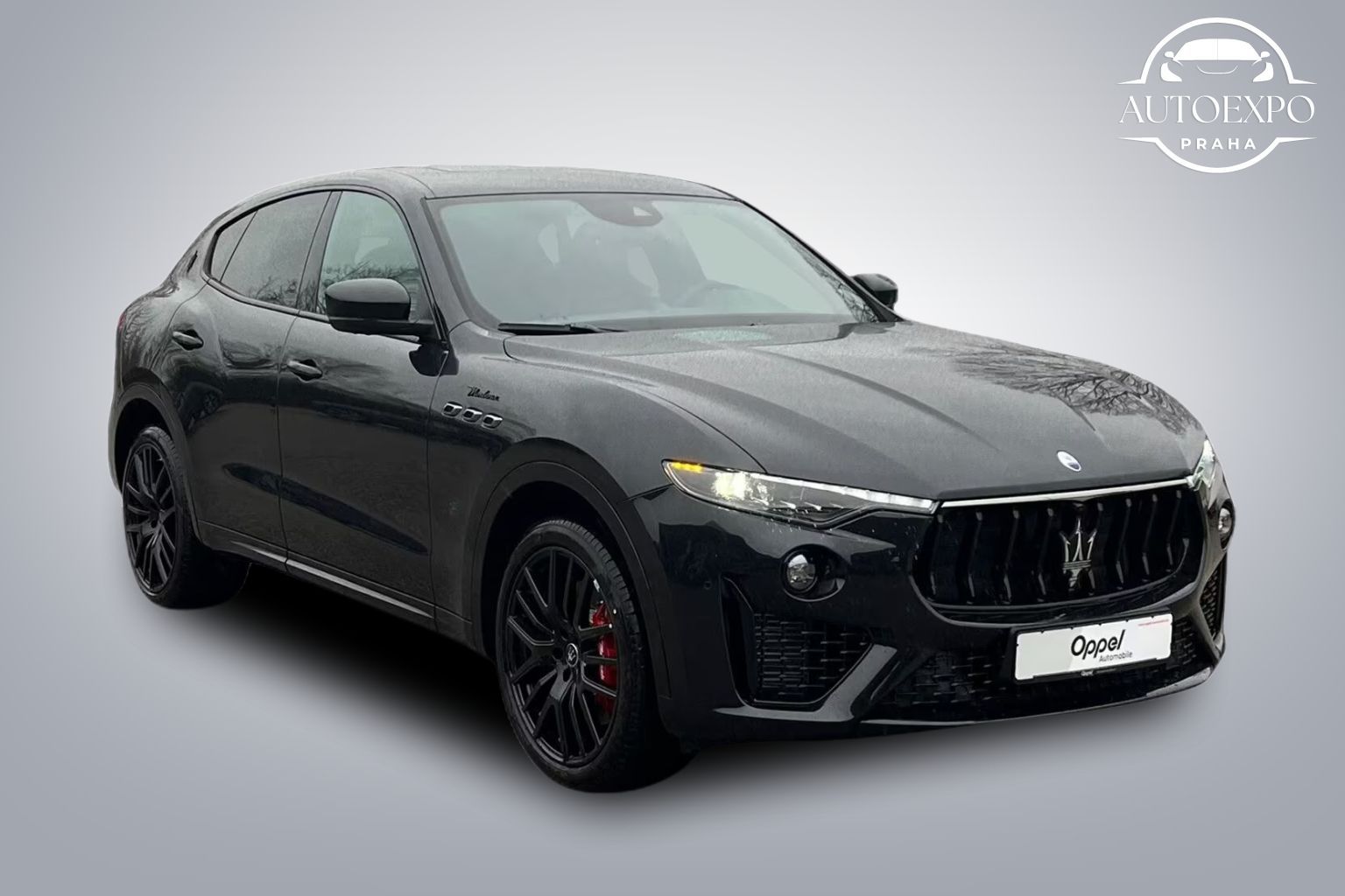 Maserati Levante, Modena Ultima*PANORAMA* - fotka 2