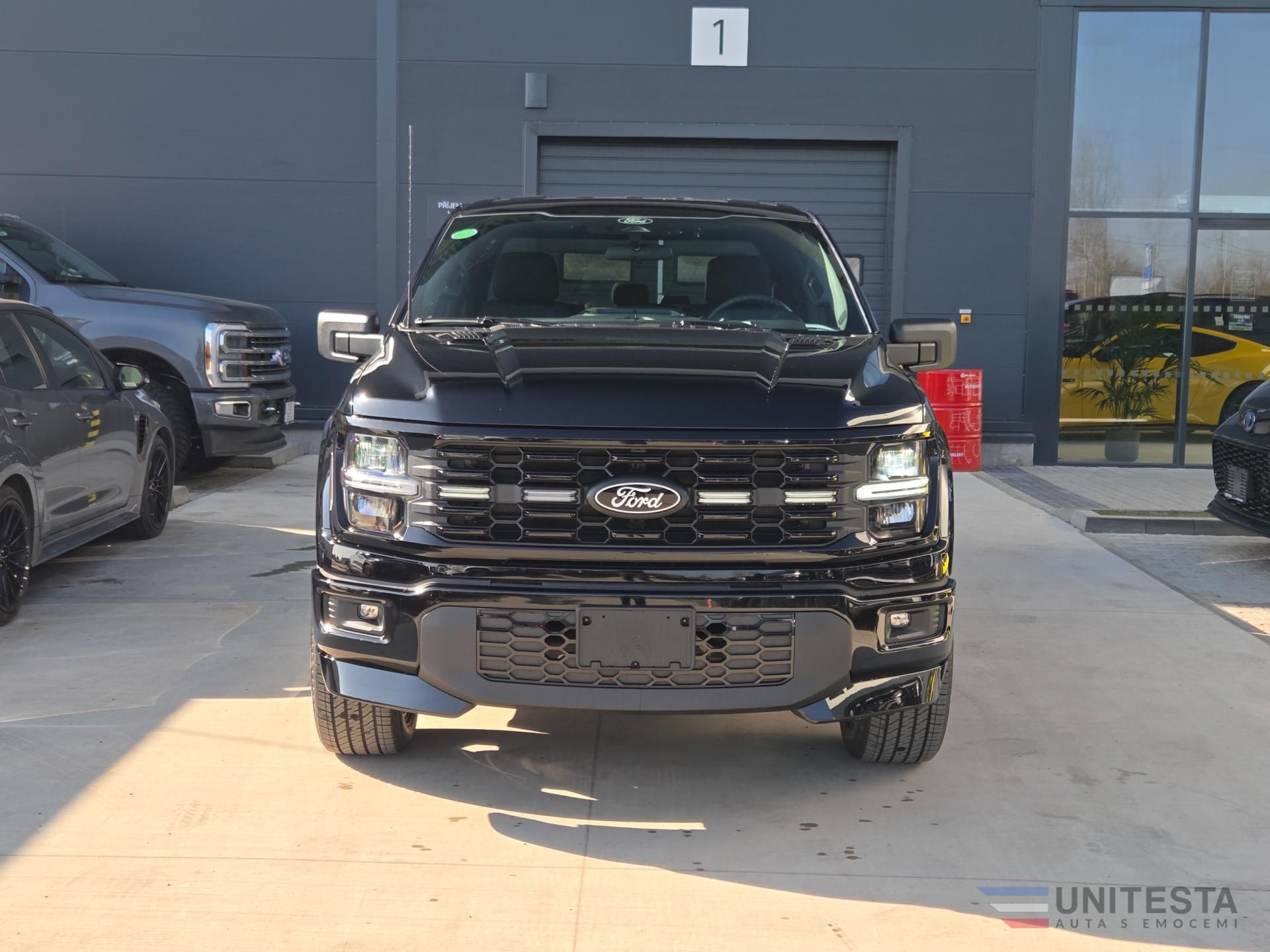 Ford F-150, F150 - LOBO STX - fotka 2