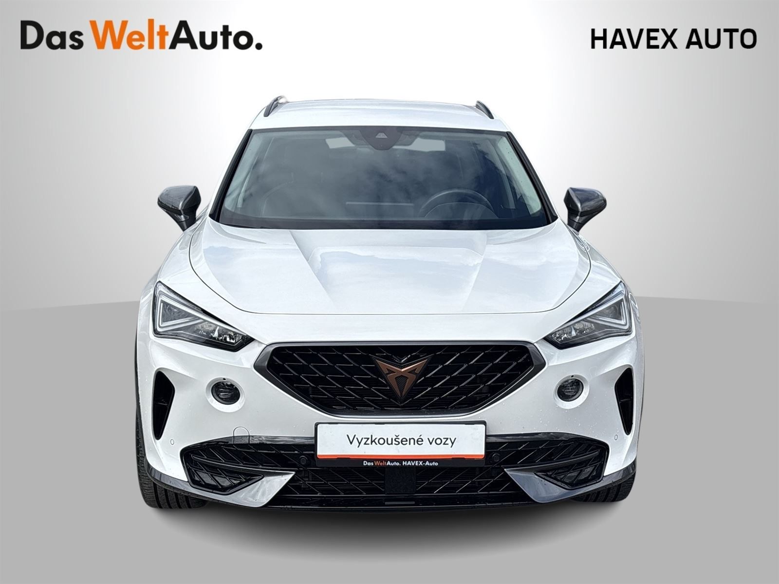 Cupra Formentor, 1.5 TSI DSG - fotka 4