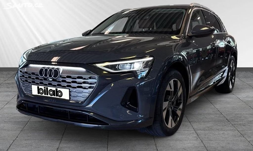 Audi Q8 e-tron, 55 Q Kamera Vzduch Kůže BLIS
