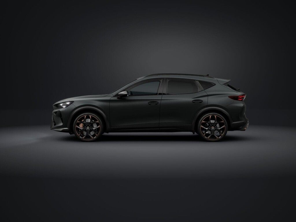 Cupra Formentor, 2.5TSI 287kW DSG 4WD - fotka 2