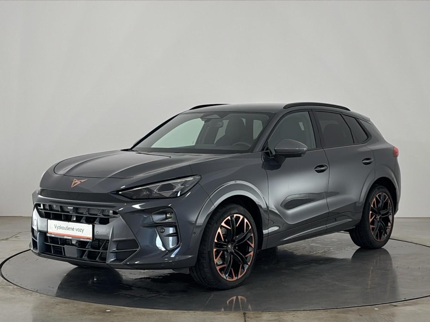 Cupra Terramar, 2.0 TSI / 195 kW