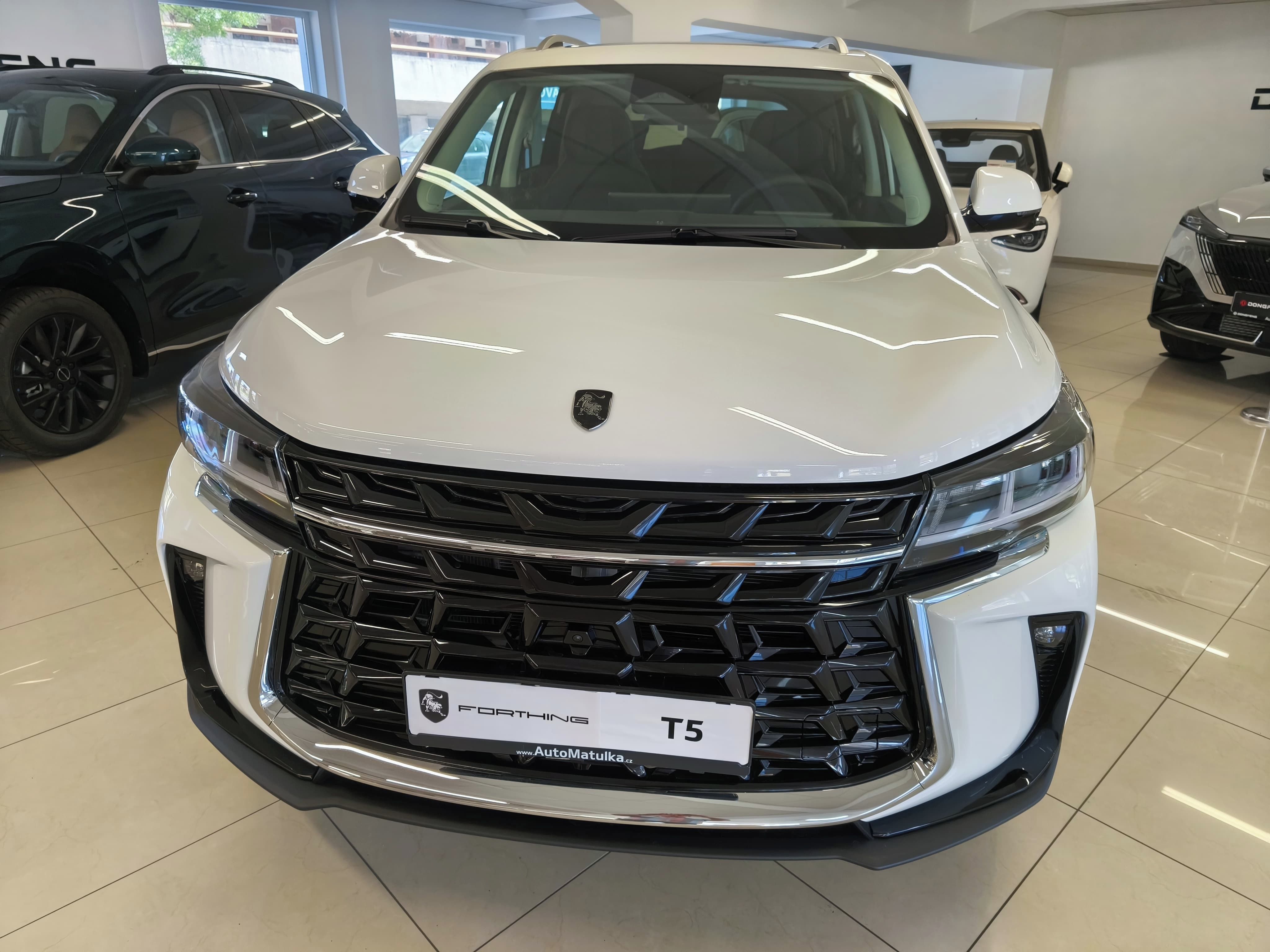 Dongfeng T5, Exclusive - rozšířená záruka - fotka 3