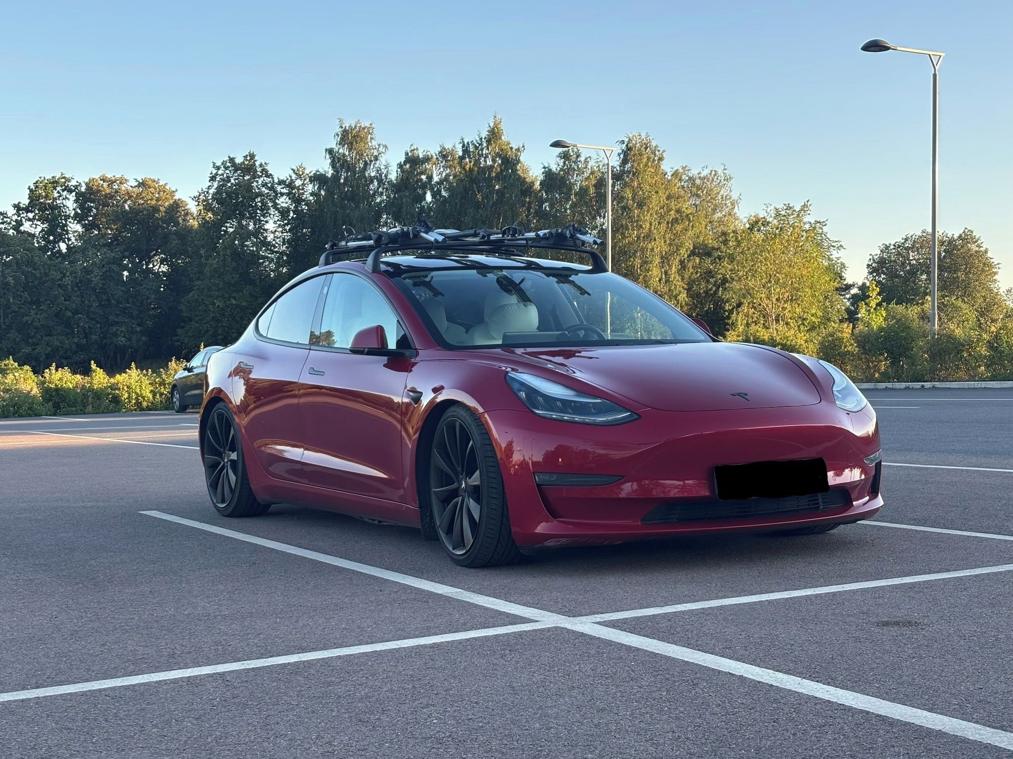 Tesla Model 3, Base Performance, tažné - fotka 3
