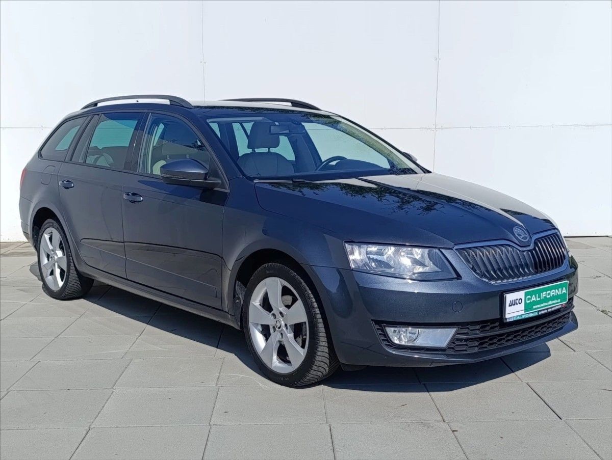 Škoda Octavia, 1,6 TDi 4x4 Navi,Kůže,Aut.klim - fotka 5