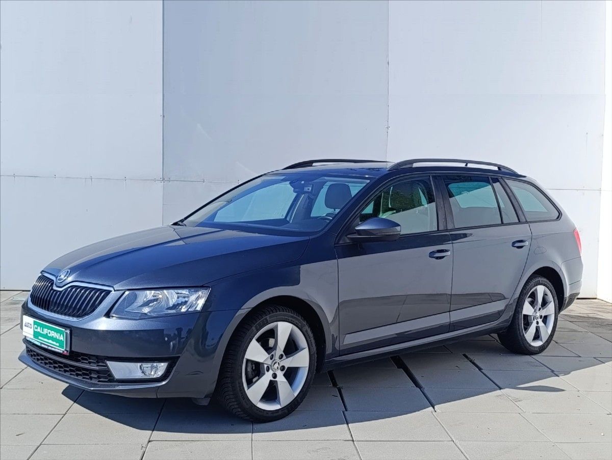 Škoda Octavia, 1,6 TDi 4x4 Navi,Kůže,Aut.klim