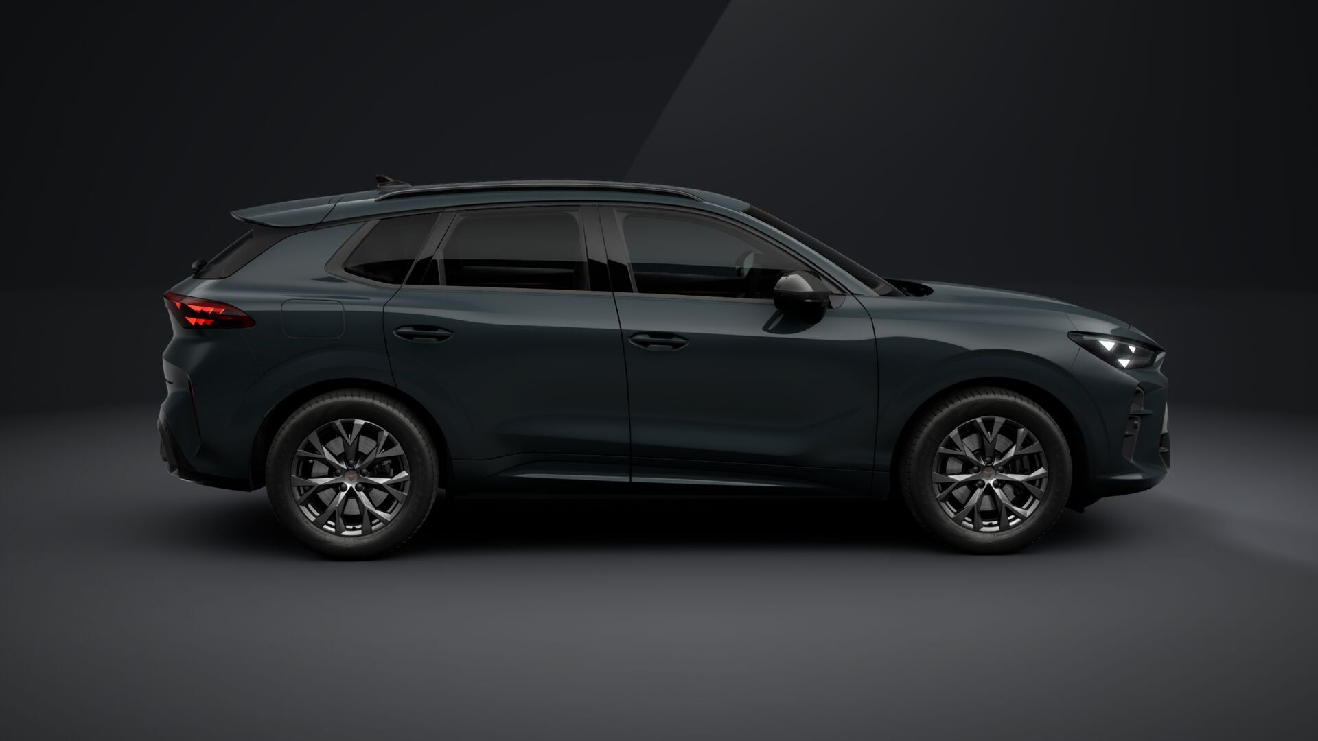 Cupra Terramar, Terramar 2.0 TSI 204k DSG 4WD - fotka 4