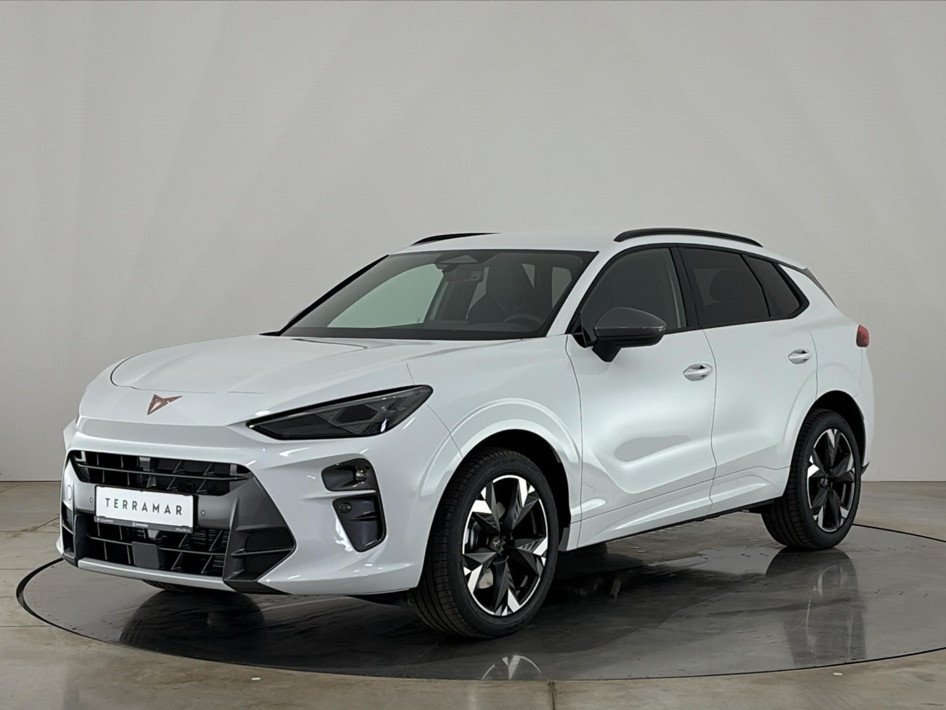 Cupra Terramar, 1.5 eTSi / 110 kW
