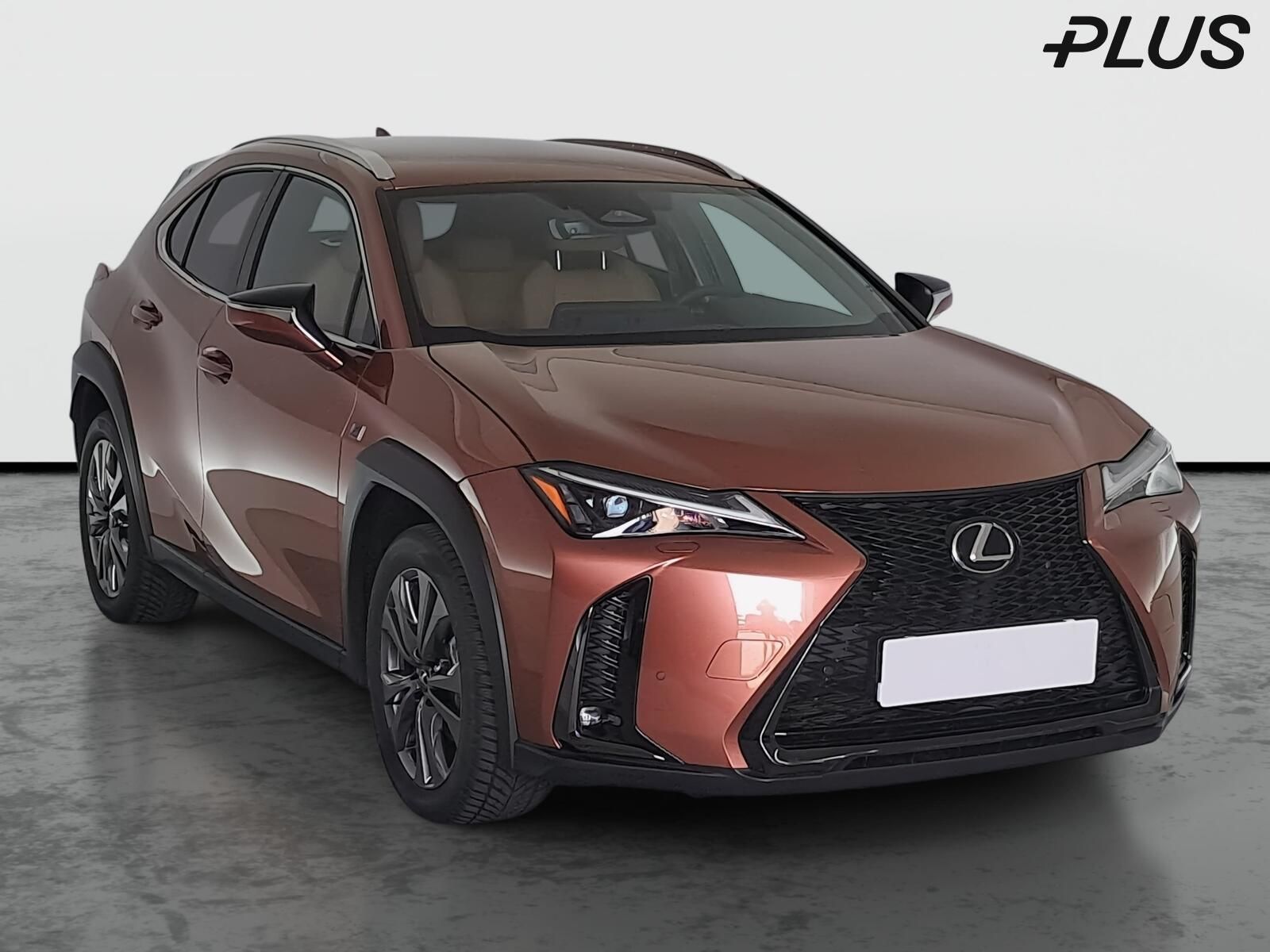 Lexus UX 300h, 300h, Záruka, Automat, ČR