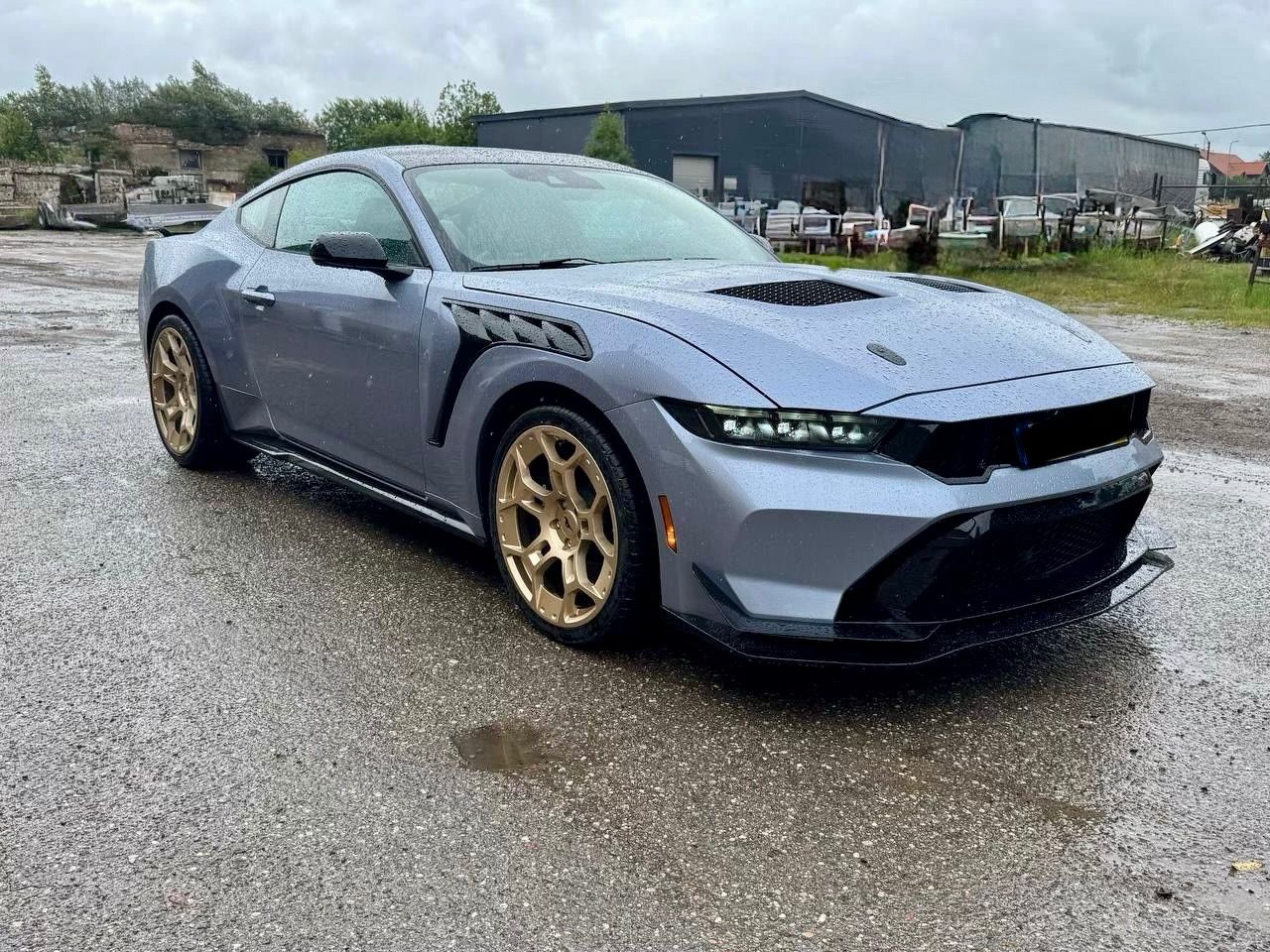 Ford Mustang, GT 60 Year Edition 0041 - fotka 3