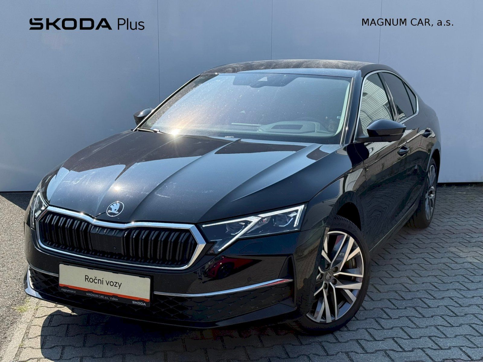 Škoda Octavia, EXCLUSIVE SELECTION 2.0 TDI/11