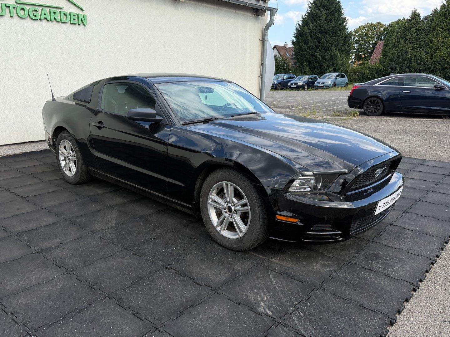 Ford Mustang, 3.7 V6 AUT - fotka 2