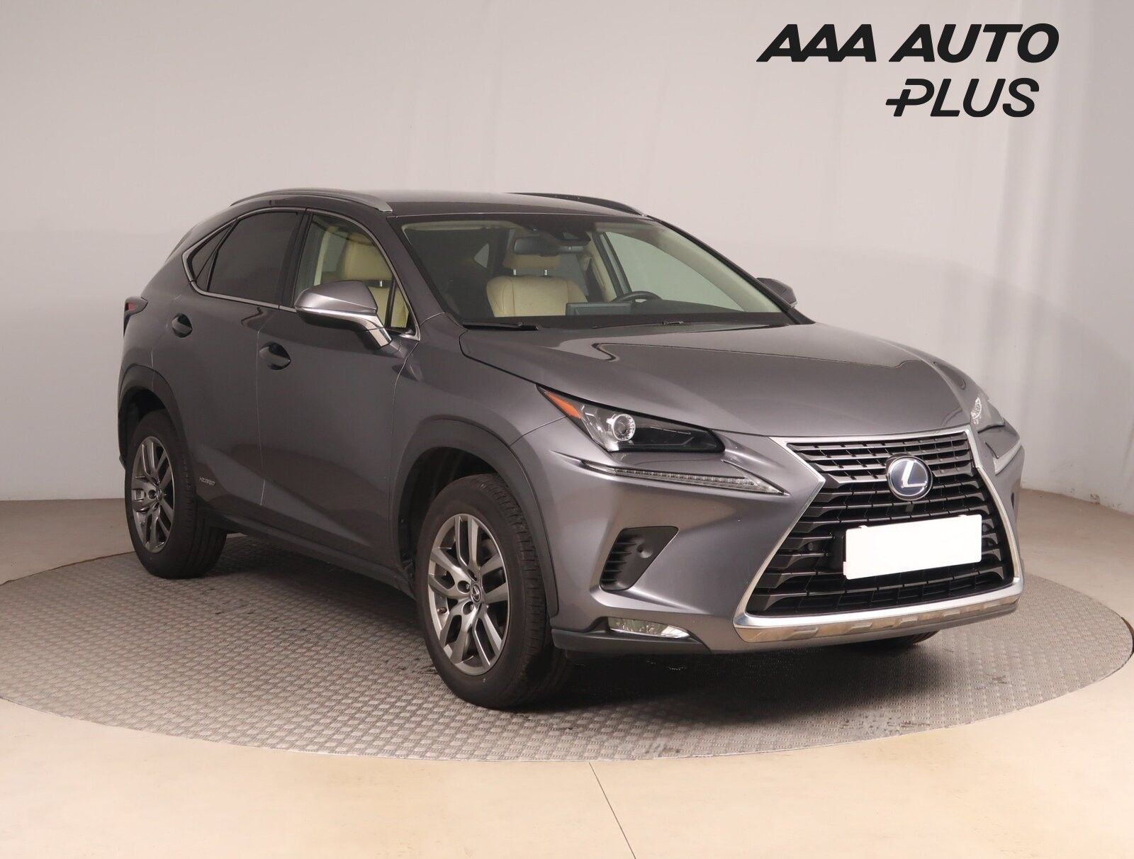 Lexus NX 300h, 300h, Style Edition, 4X4
