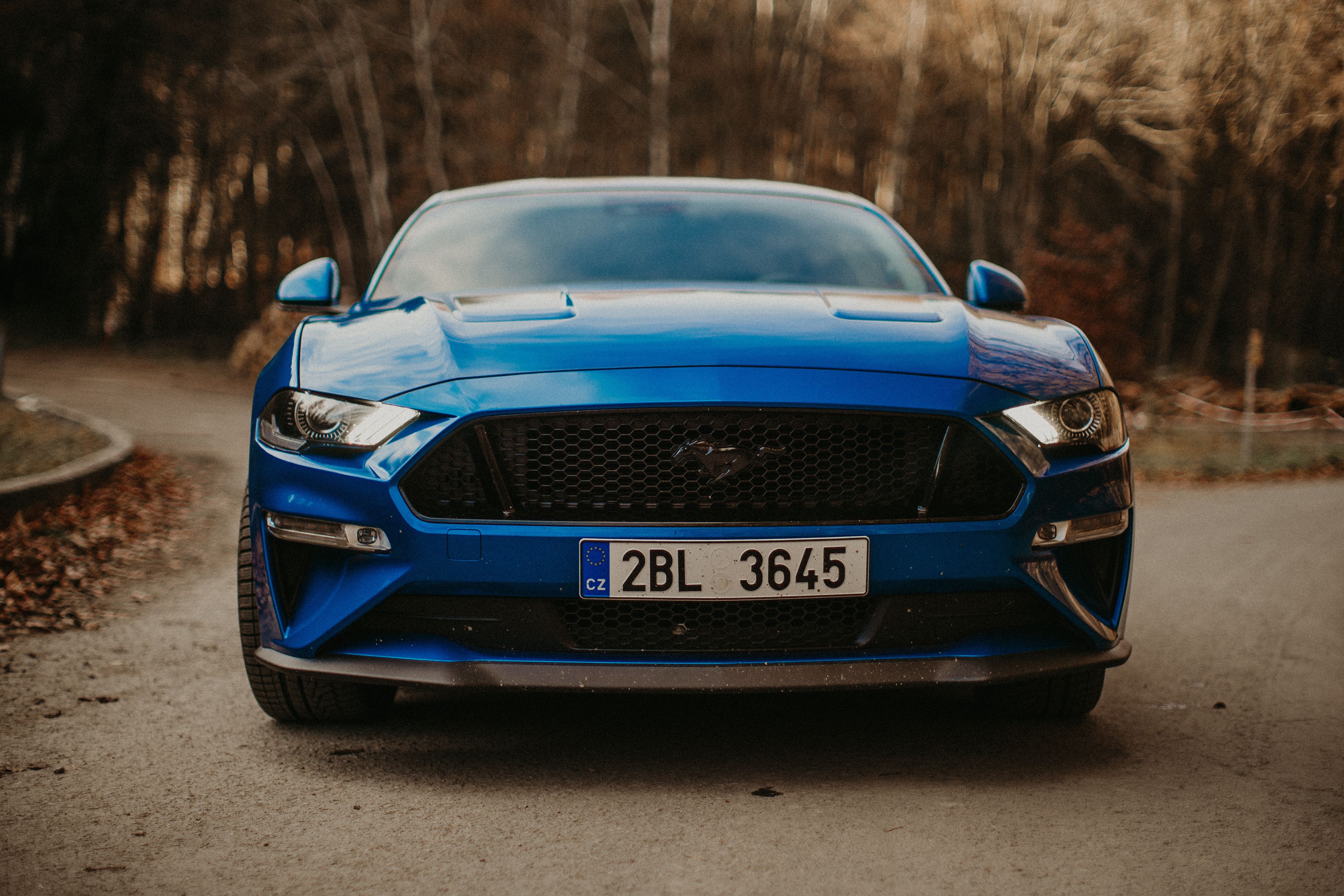 Ford Mustang, 5.0 V8 GT, automat