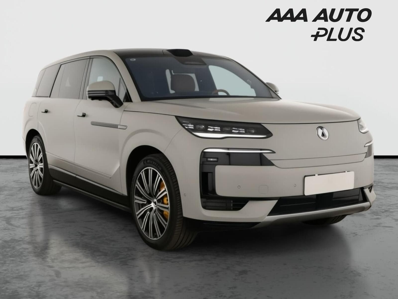 Denza N9, 2.0T PHEV