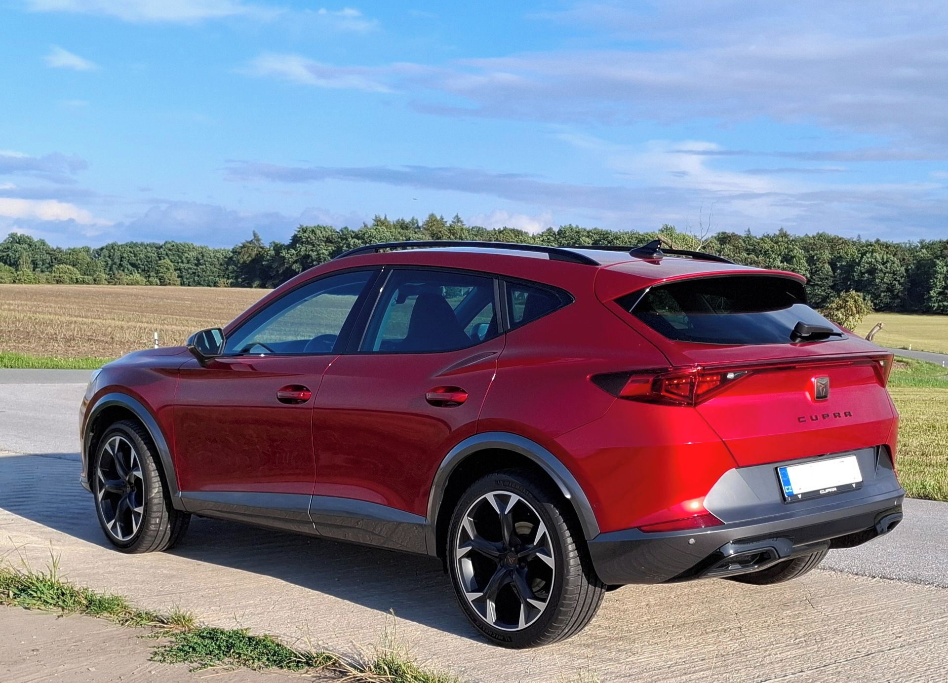Cupra Formentor, 2.0 TSI DSG 4WD, ČR, záruka - fotka 5