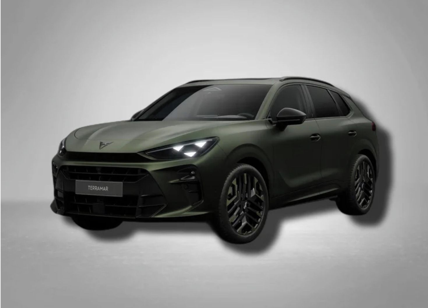 Cupra Terramar, VZ Tribe 2.0 TSI 195 PS 4x4