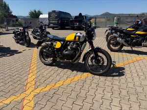 Royal Enfield, Bear 650 Wild Honey