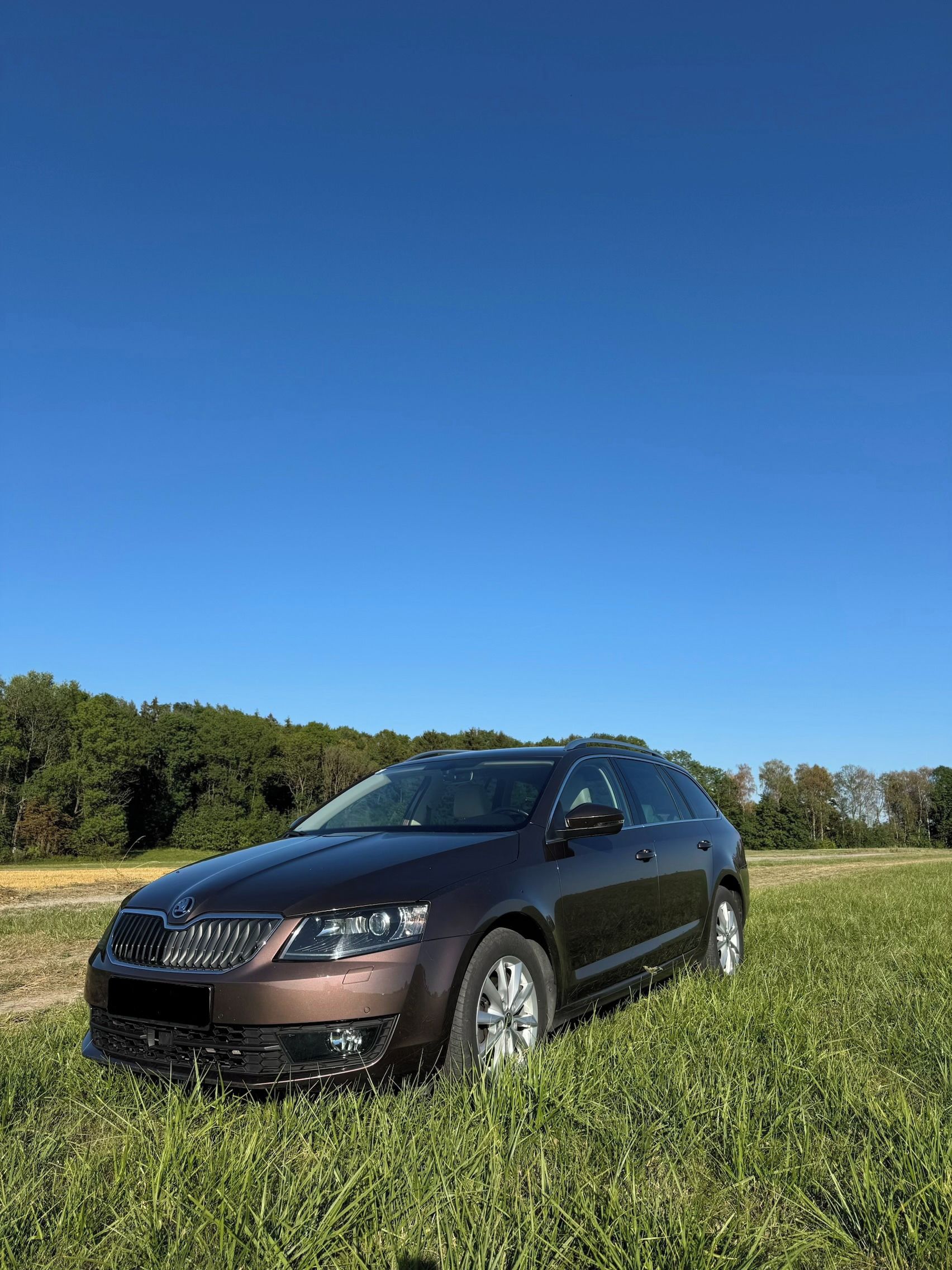 Škoda Octavia, Škoda Octavia Combi Style TDI - fotka 2
